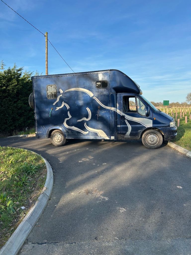 Horse box Citroen, RELAY