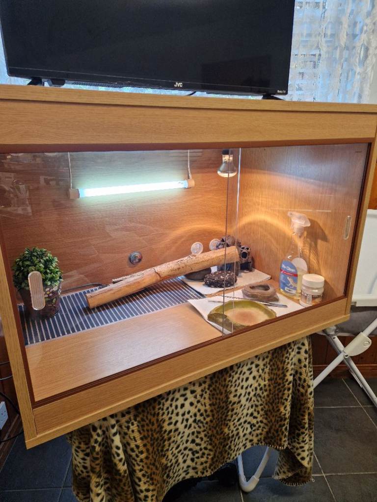 Large wooden reptile vivarium with accessories