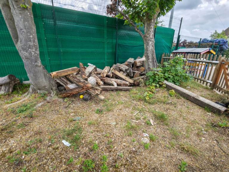 Logs for collection 
