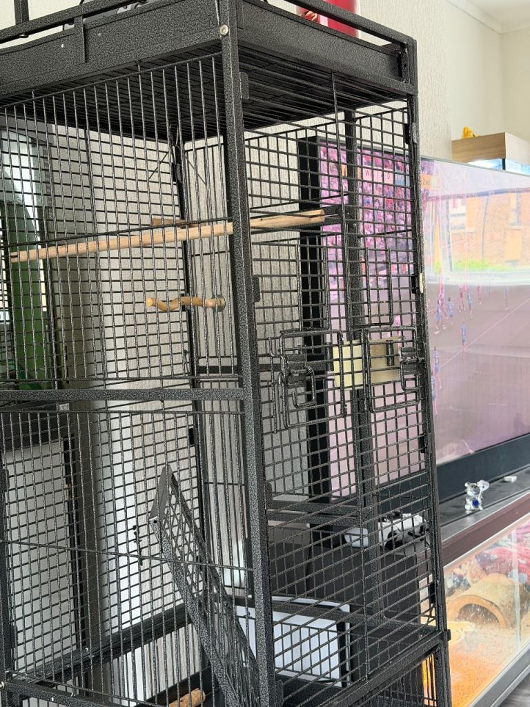 Bird cage 