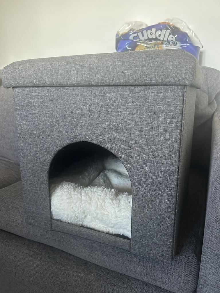 Cat bed