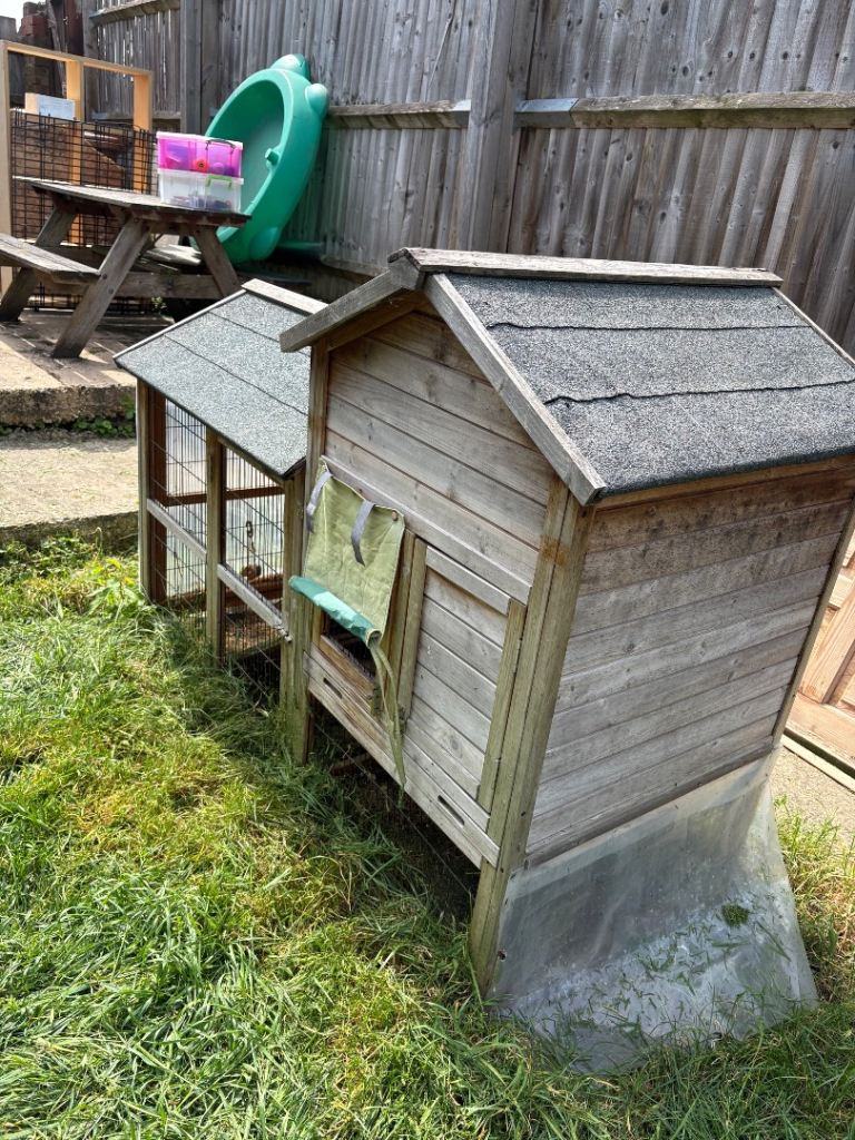 Large guinea pig enclosure 