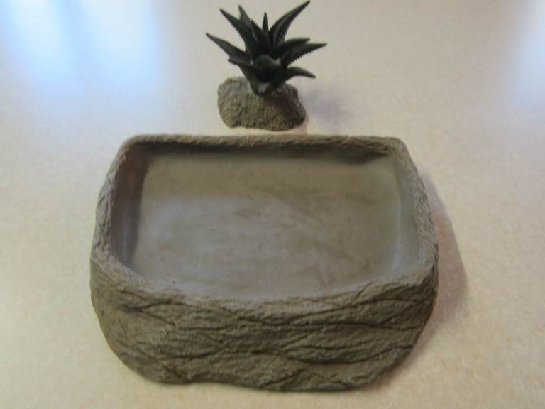 Reptile Feeding Water Dish and Decorative Plant