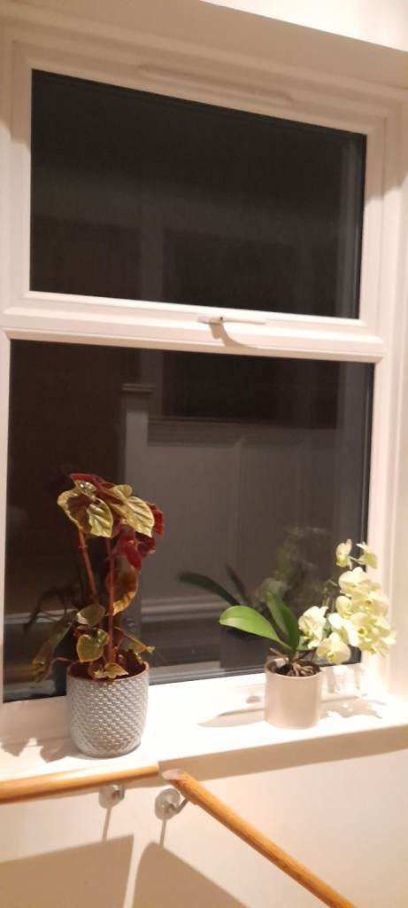 Newly refurbished big double room 