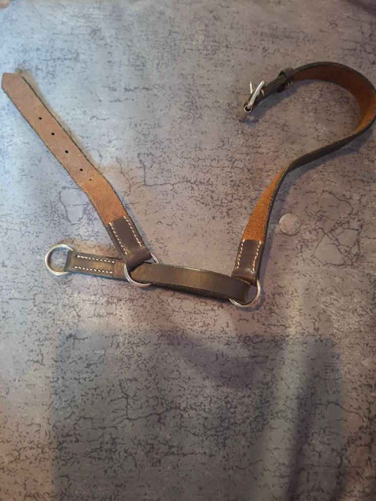 Dog choke Collar