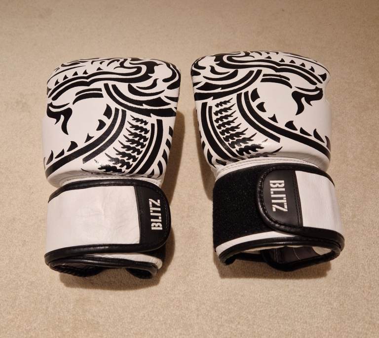 BLITZ KIDS BOXING GLOVES - 8 OZ - MARTIAL ARTS -  EXCELLENT CONDITION 