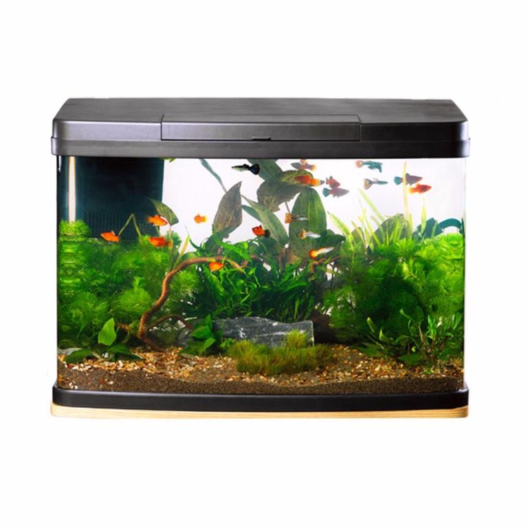 64L fish tank