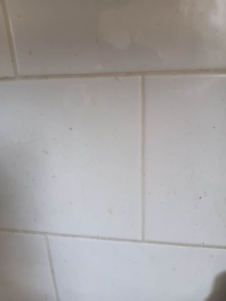 Wall floor tiles