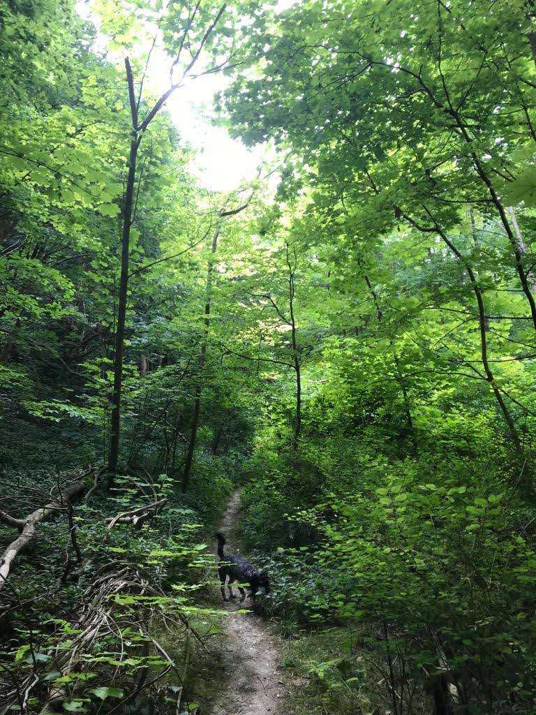 Easy going & immaculate tenant 🌞 