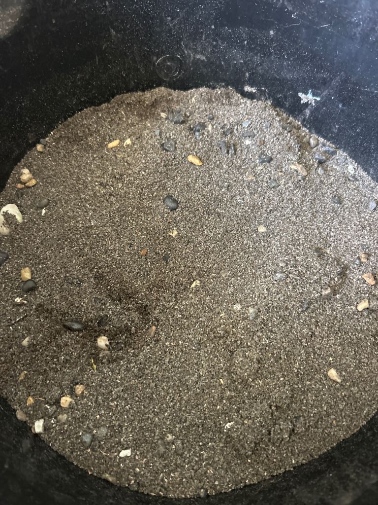 FREE Aquarium/ Aqua soil. Fish tanks 