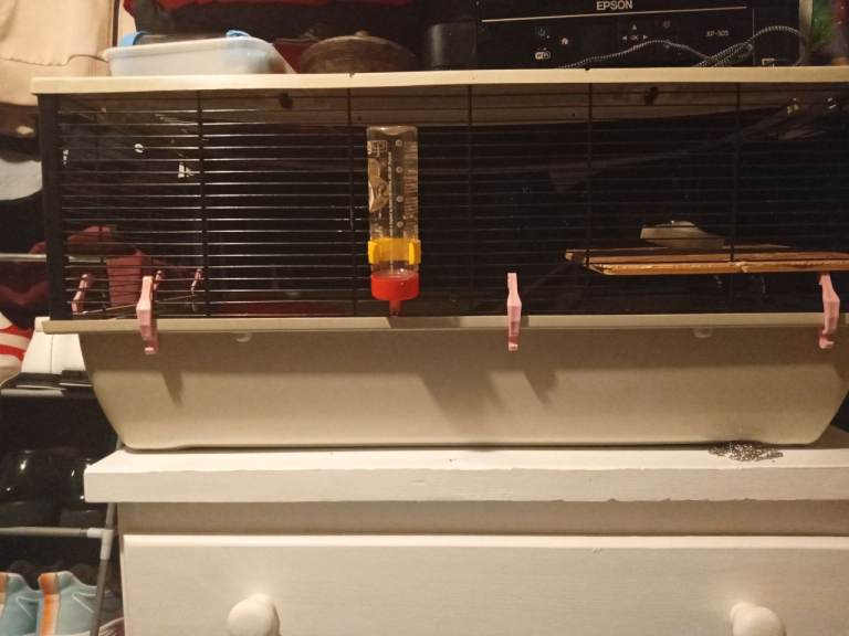 Hamster cage 