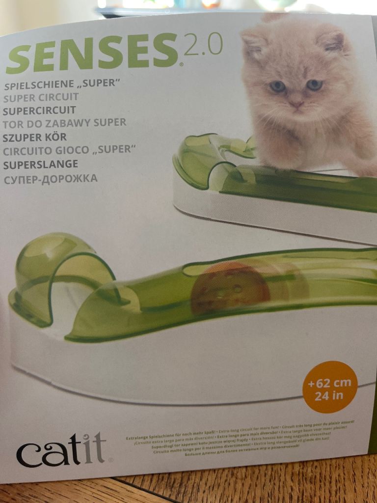 Cat ball circuit toy