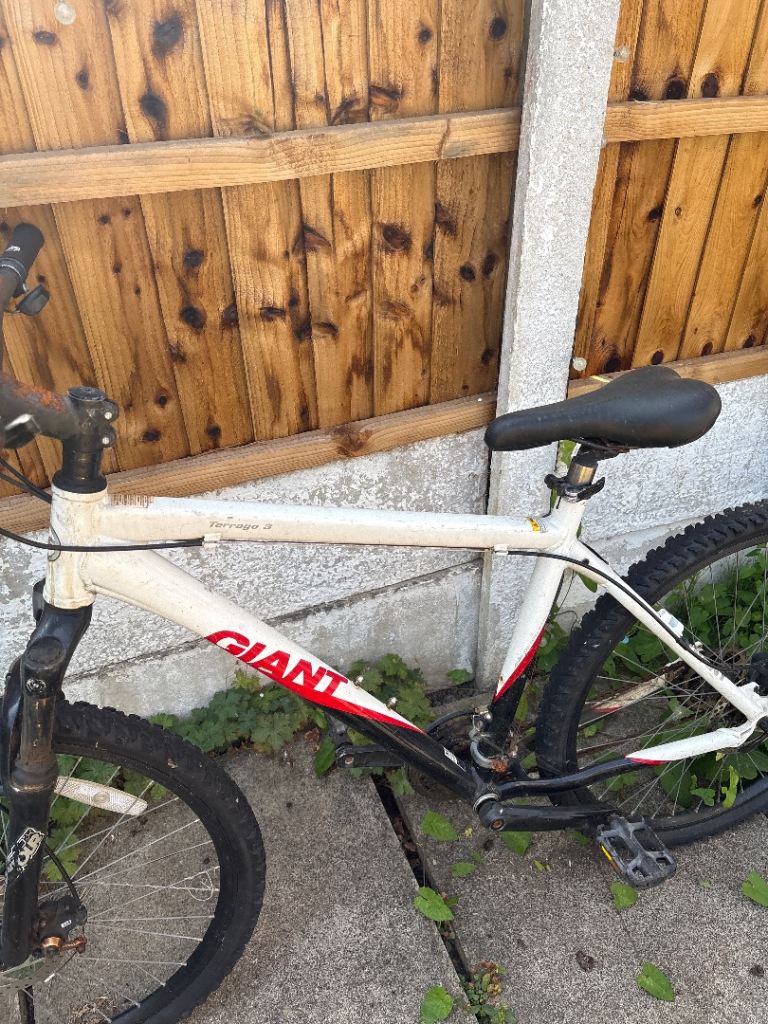 Giant Mountain Bike – White, Fair Condition