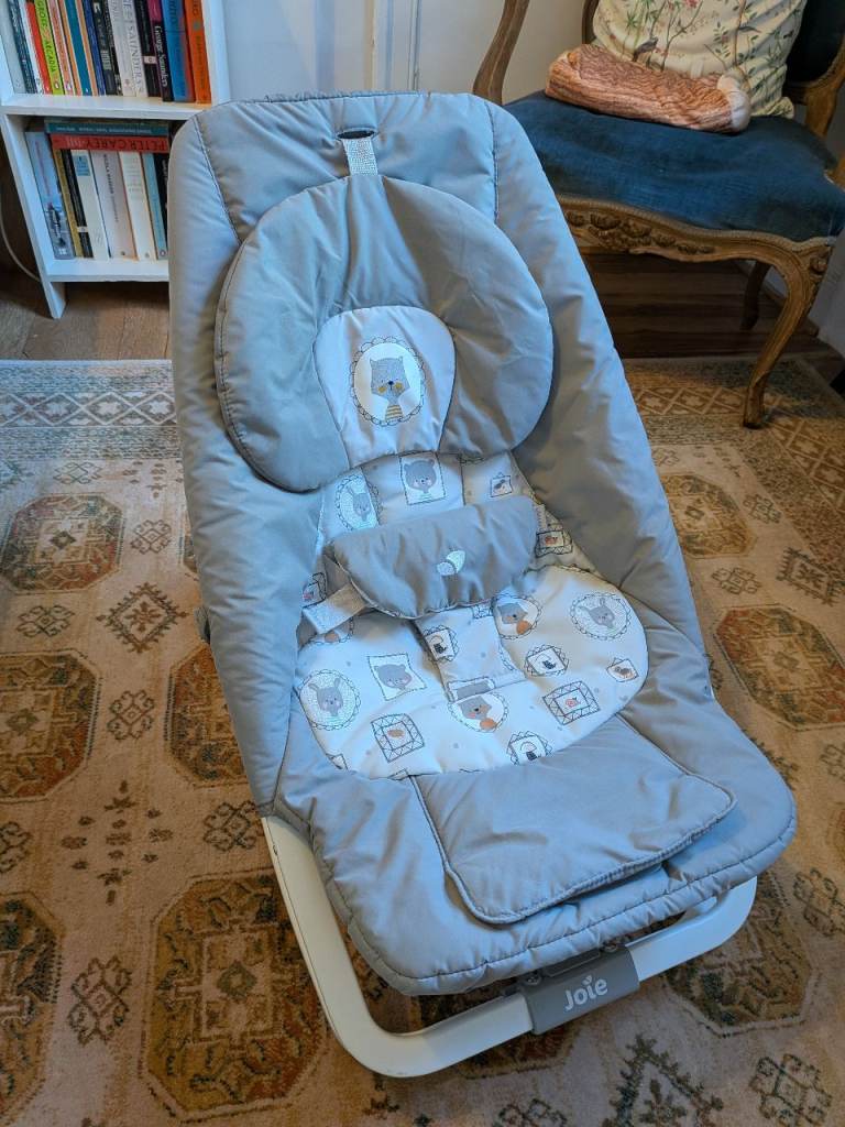 Joie Baby Bouncer Rocker Chair