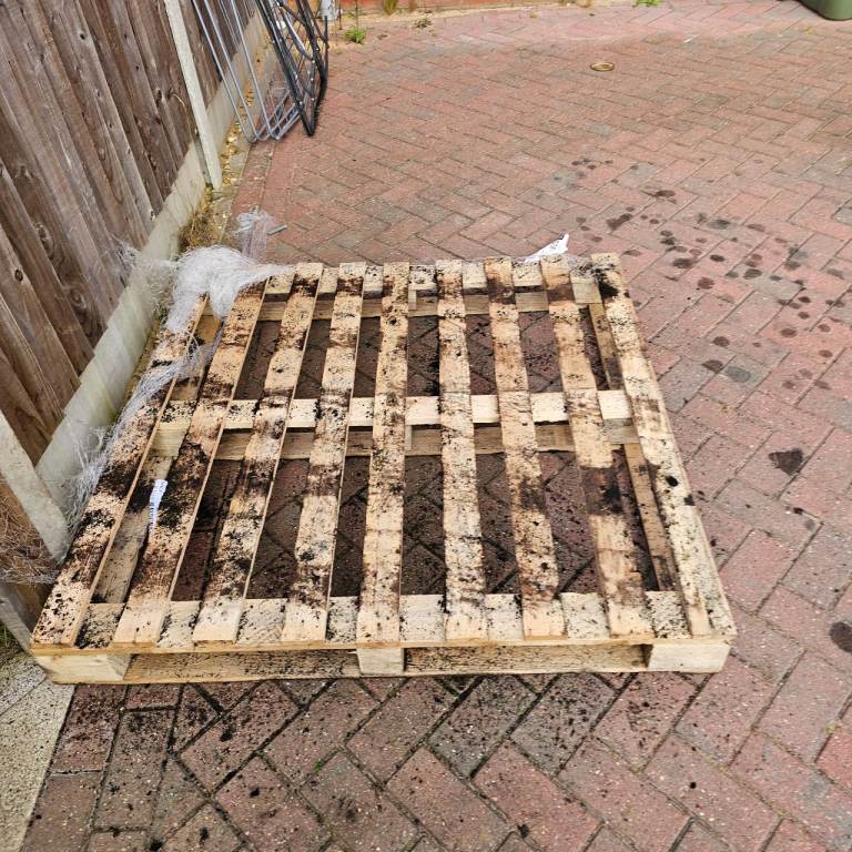 Free Pallets 