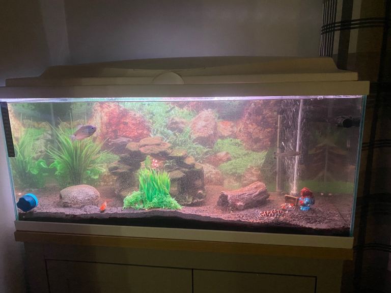 90L fish tank with all accessories
