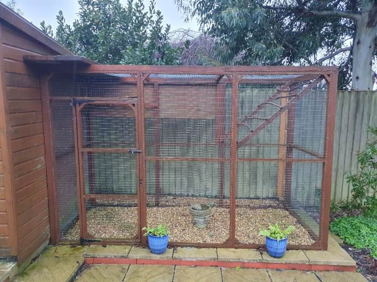 Aviary for sale 6ft tall 10ft long 4ft wide.