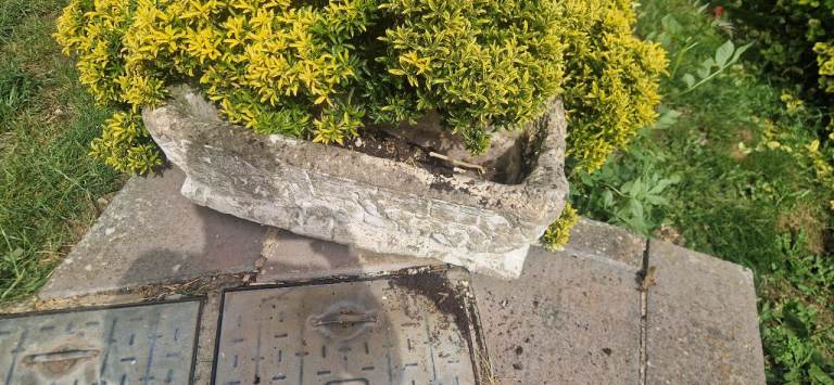 Free very heavy stone planter