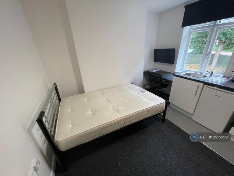 Studio flat in Regent Road, Leicester, LE1 (#2915559)