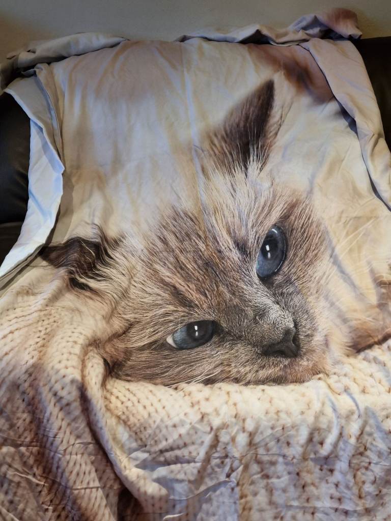 Cat themed double duvet set