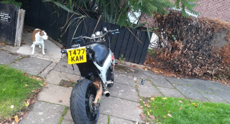 Suzuki gsxr 600 street fighter 