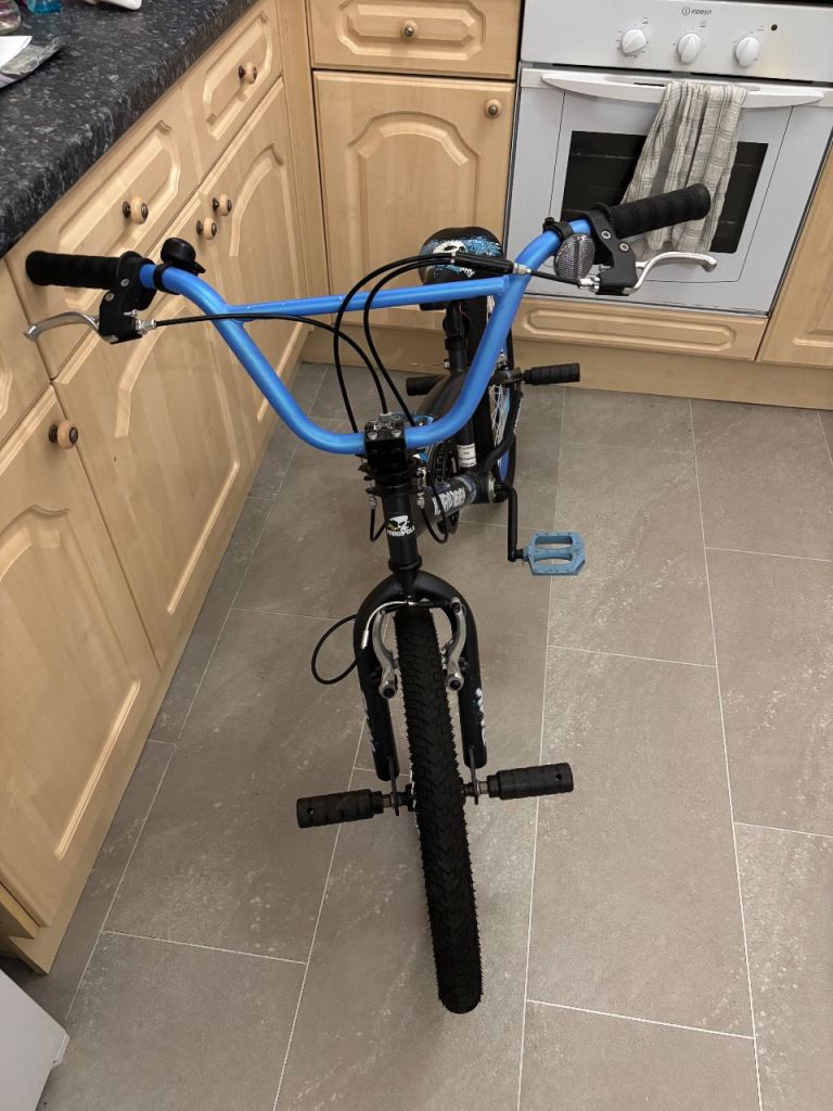 Kid’s Hybrid Theory BMX