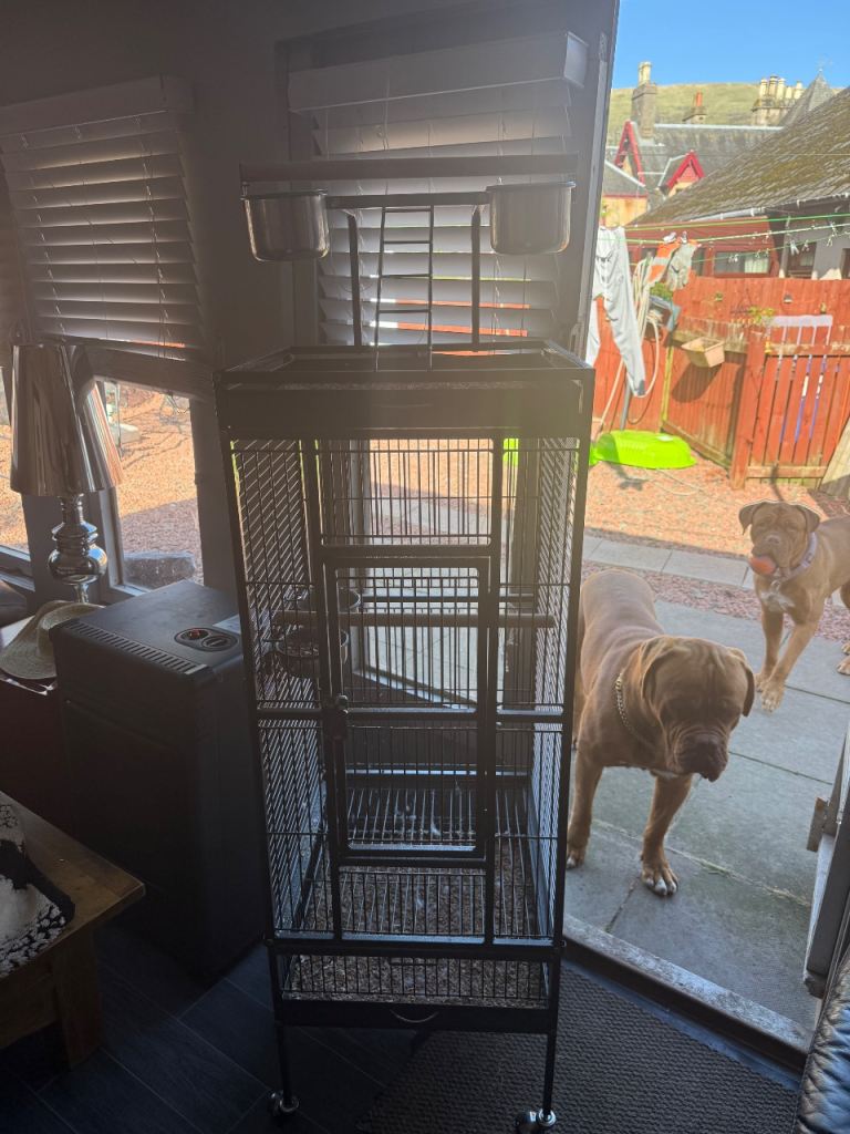 Parrot cage with play stand on top