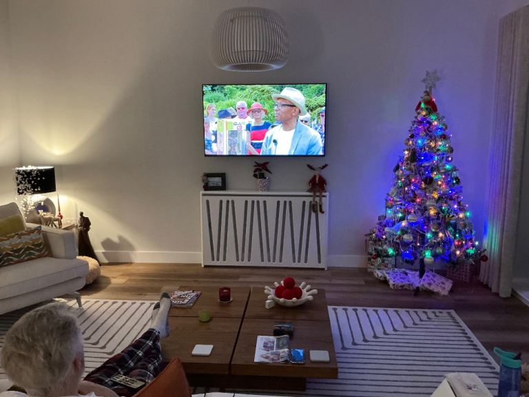 Lovely Artificial Xmas Tree