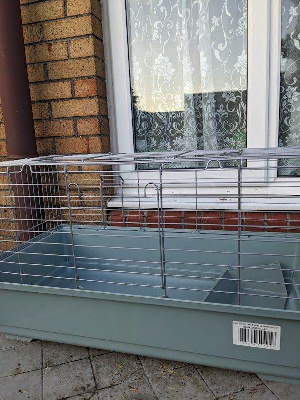 Guinea pig indoor cage 