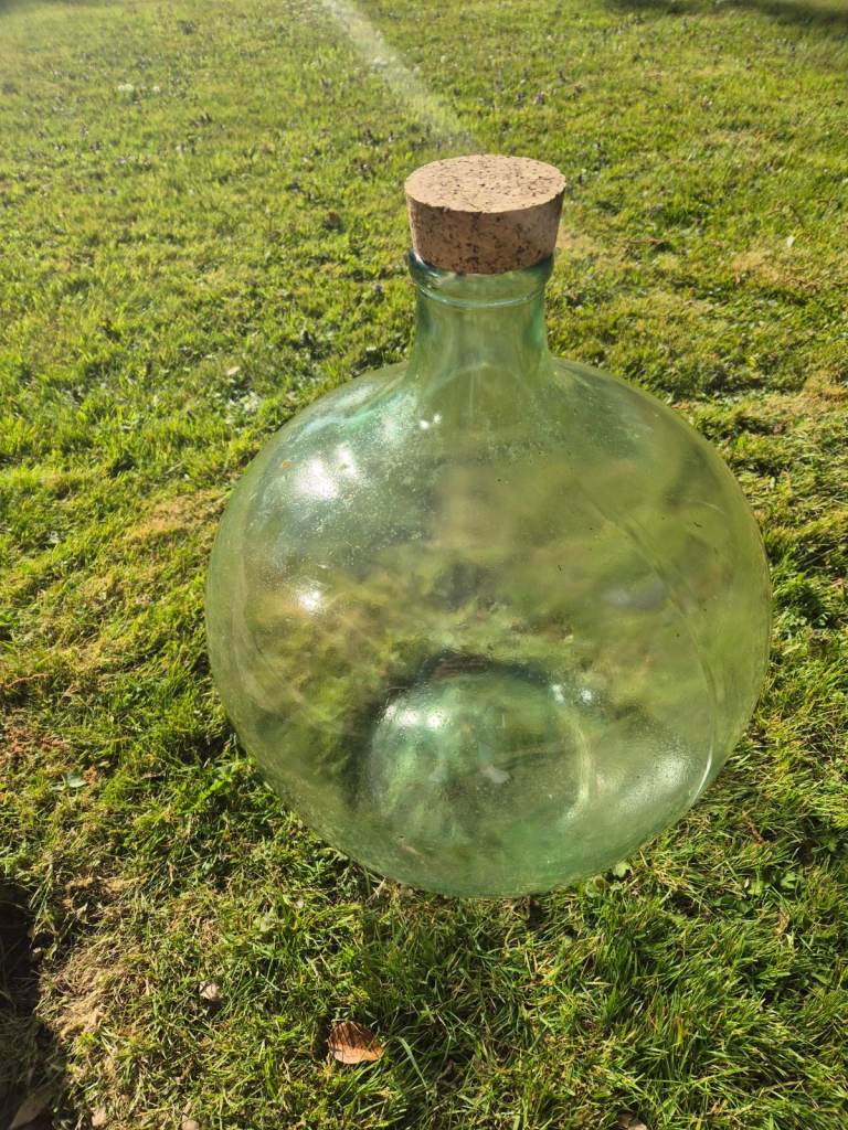 Glass bottle garden