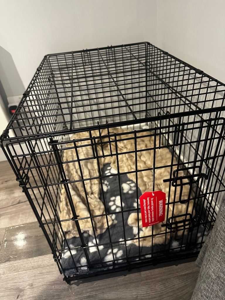 Small dog crate