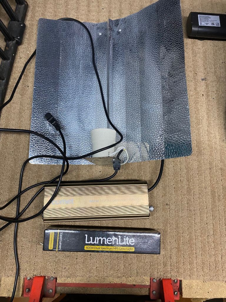 Grow lights and equipment for tomatoes 