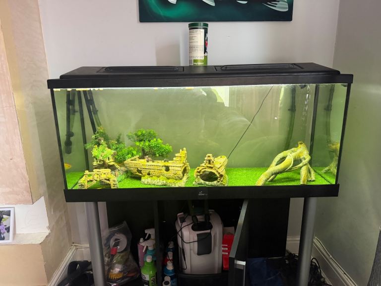 240L fish tank with stand & accessories