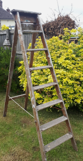 Wooden Step Ladder