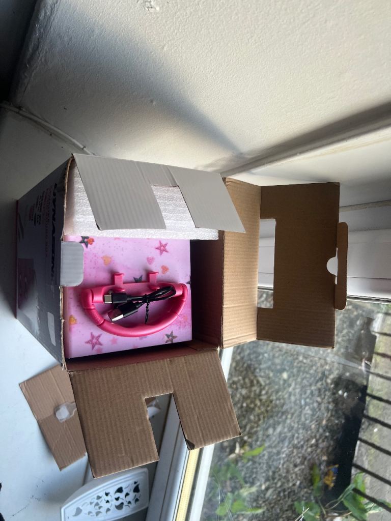 “Dynasonic Karaoke Speaker with 2 Mics –  Works Perfectly