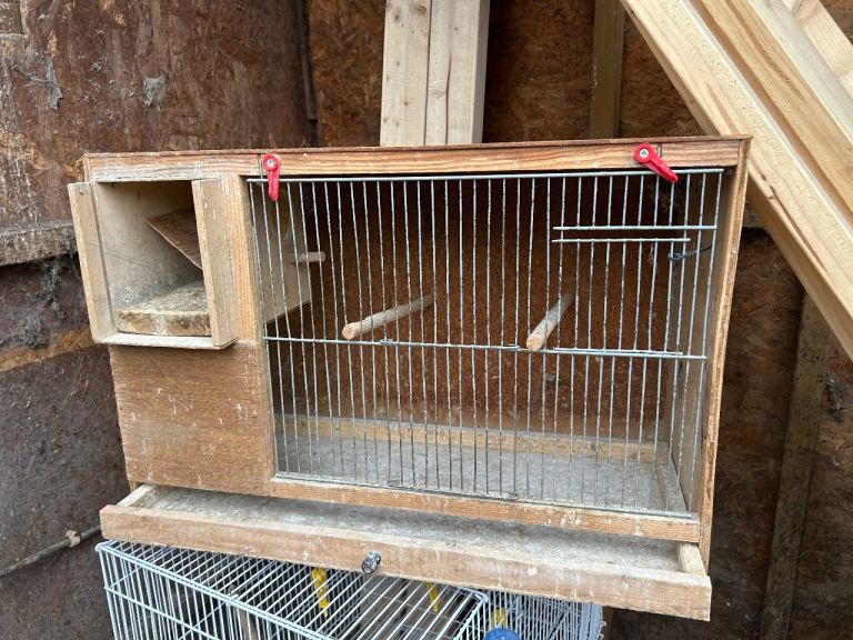 Breeding cage for sale 
