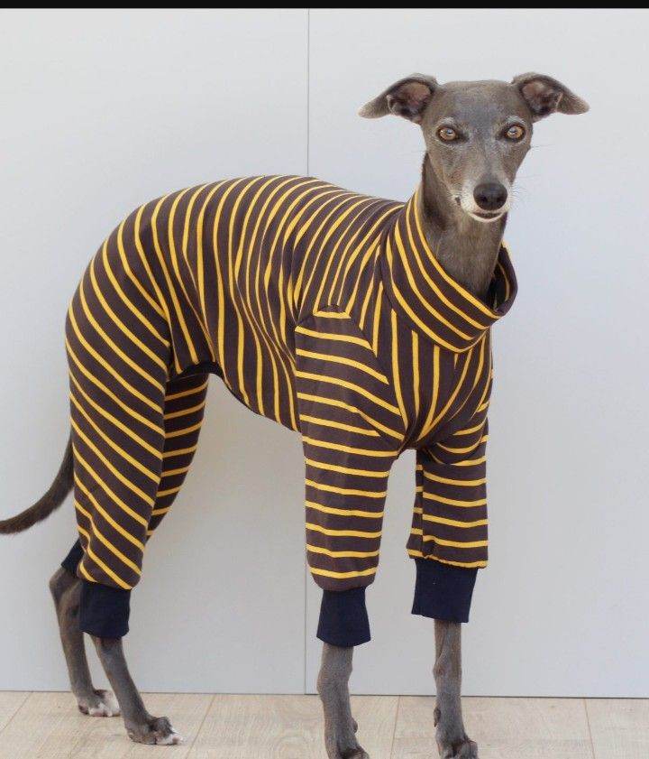 TRENDY WHIPPET STRETCH PYJAMAS