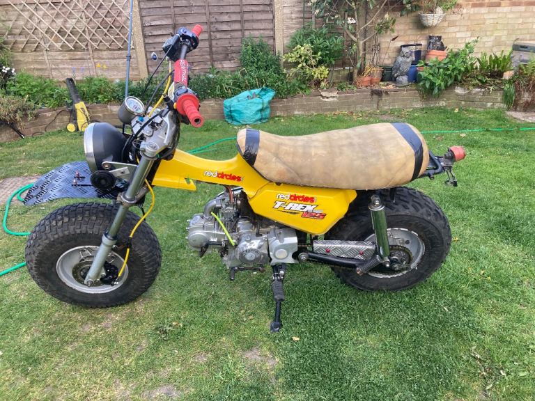Skyteam T rex 125 monkey bike 