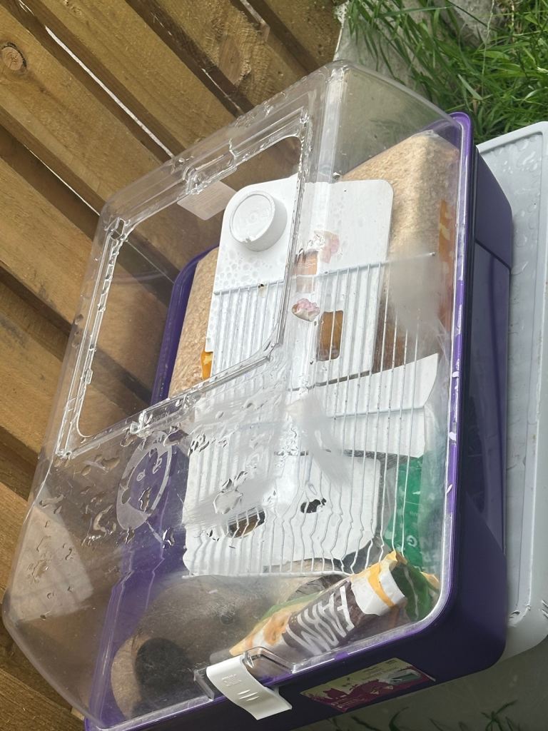Hamster cage 