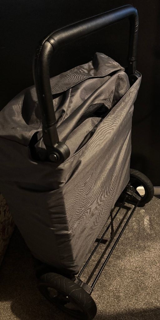 4 seater wagon stroller 