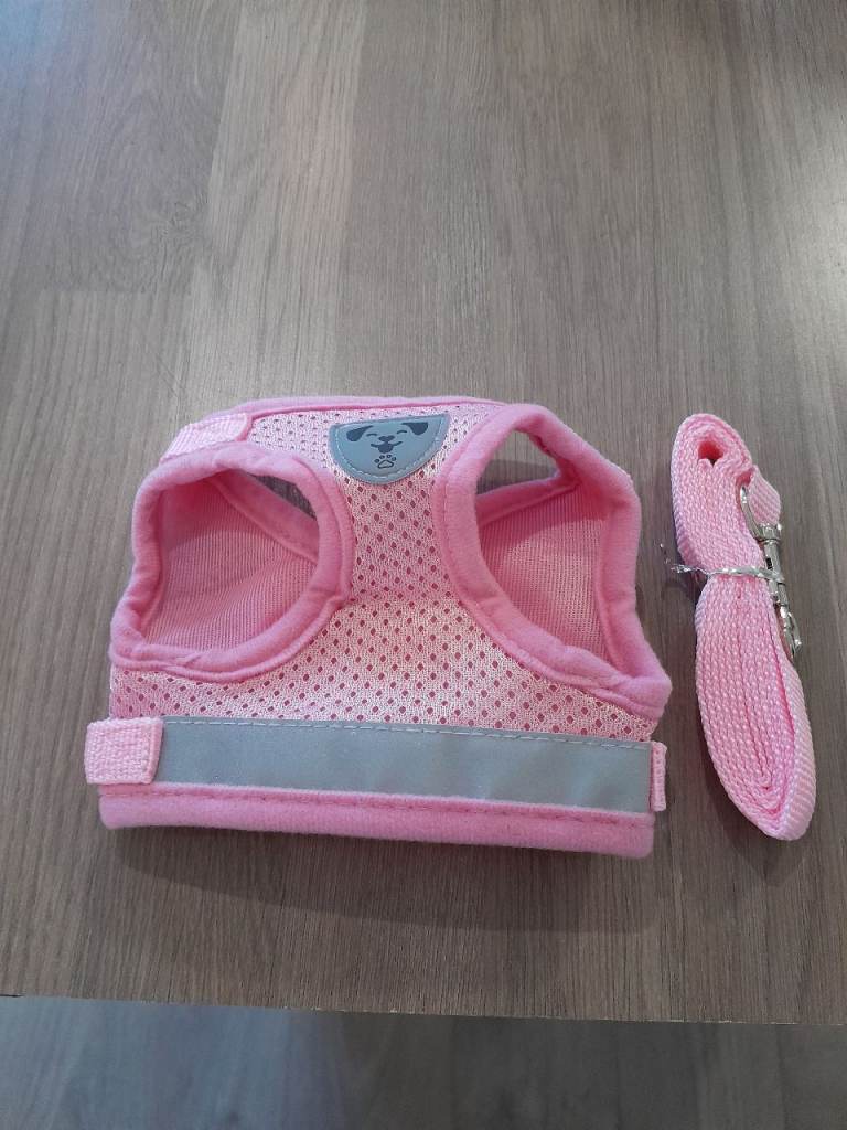 Pink Dog Harness And Lead Extra Small