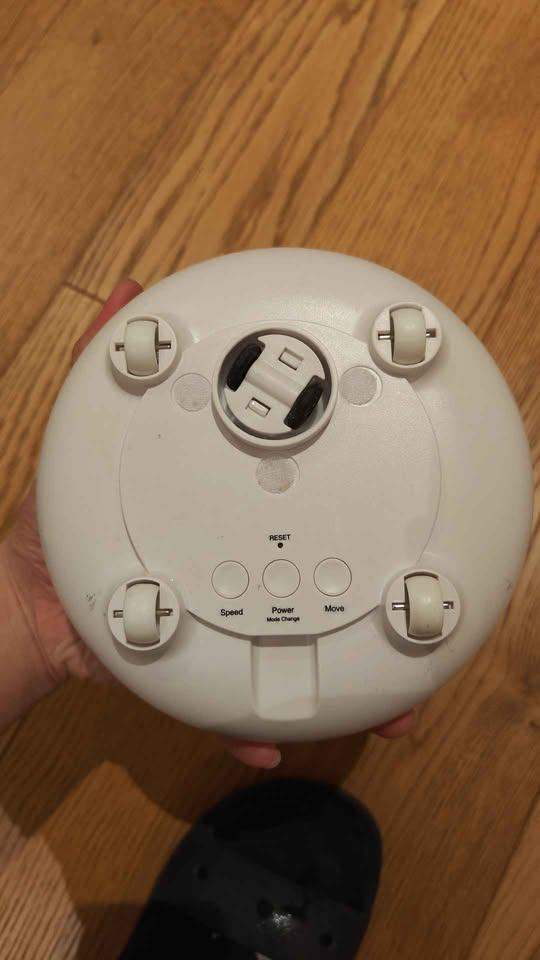 Toy for Pet