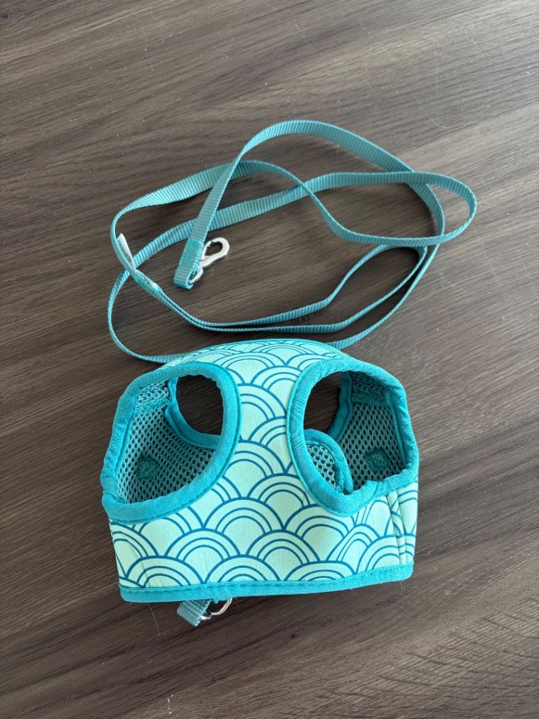 SOLD Pet at Home Cat Harness and Lead Set (Green/Turquoise)