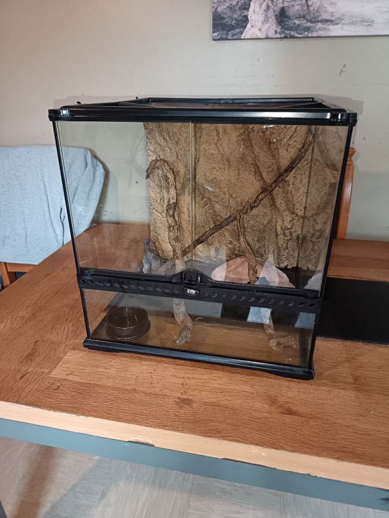 Exo terra vivarium