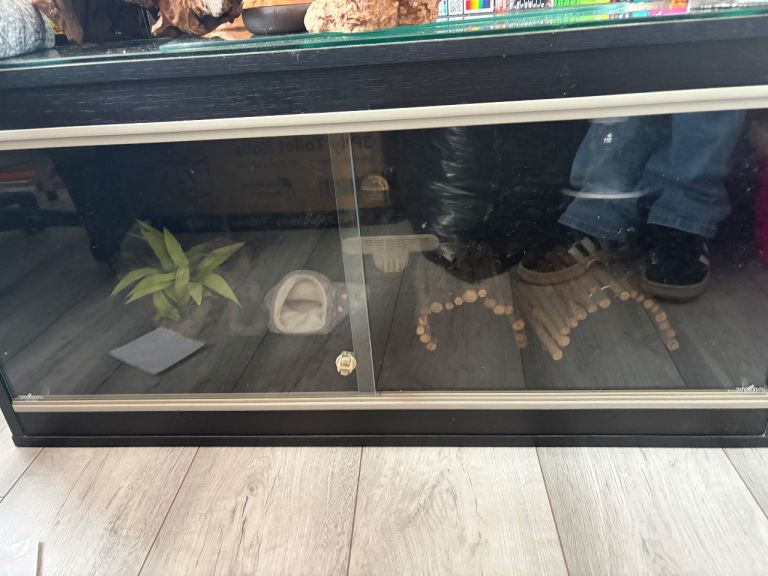 Reptile tank/enclosure 