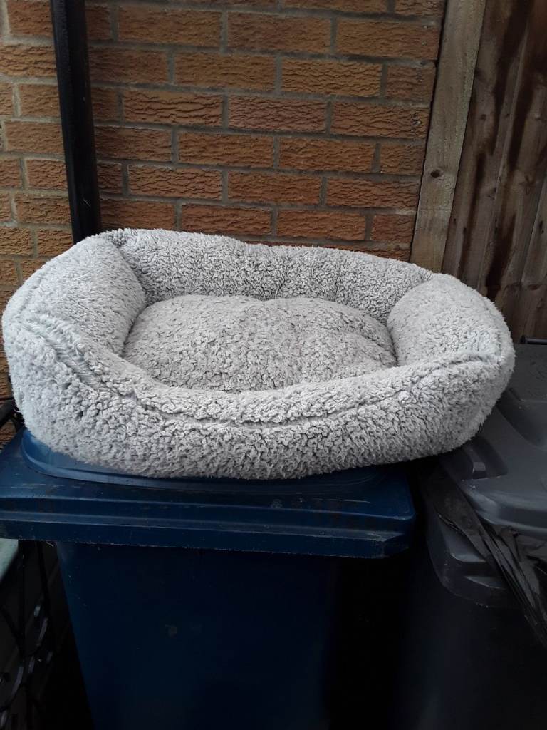 Dog Bed