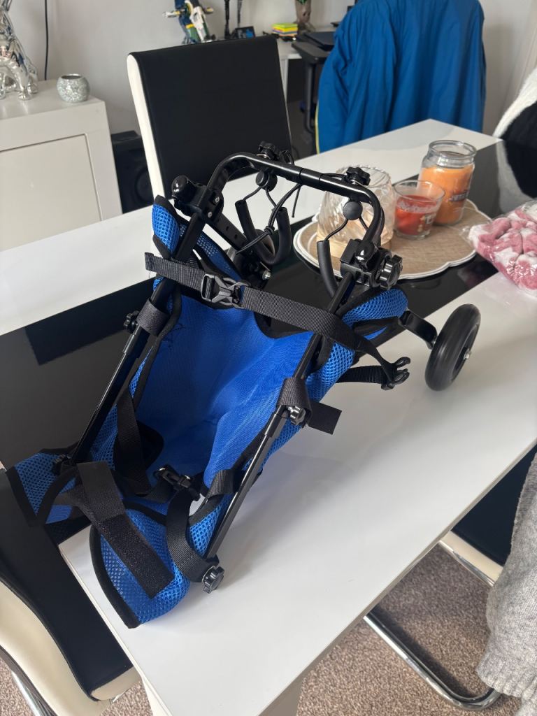 Dog wheels 