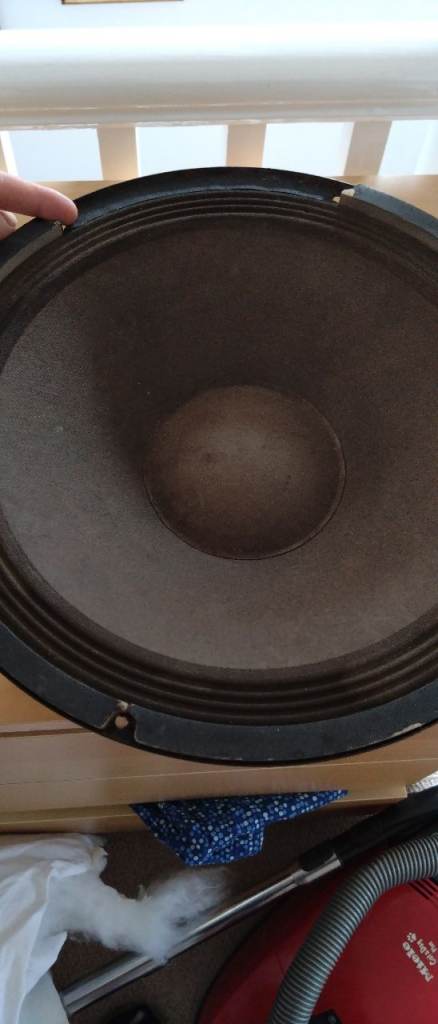 15 inch bass guitar speaker