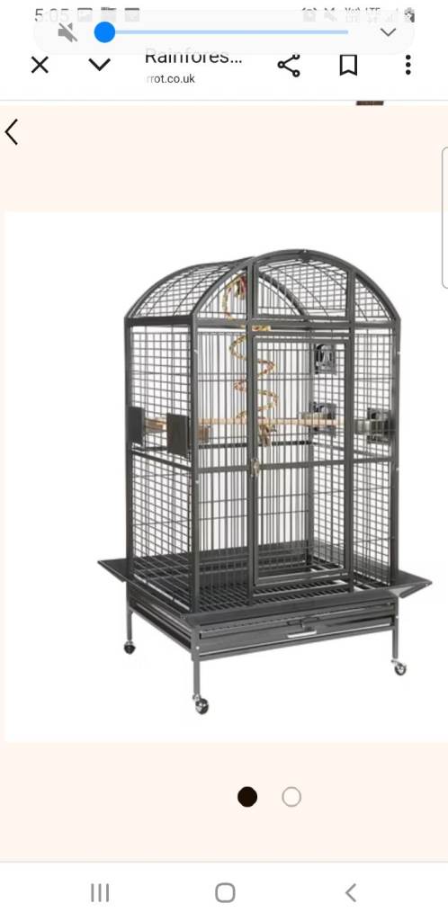 Parrot cage 