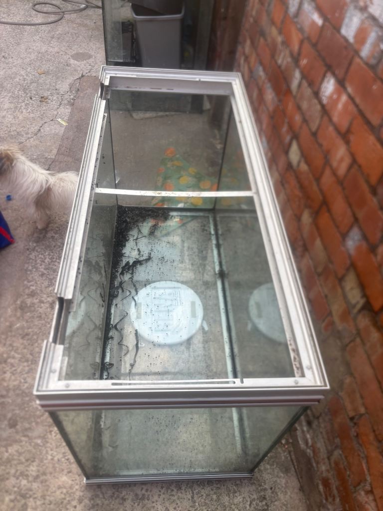 fish tank 